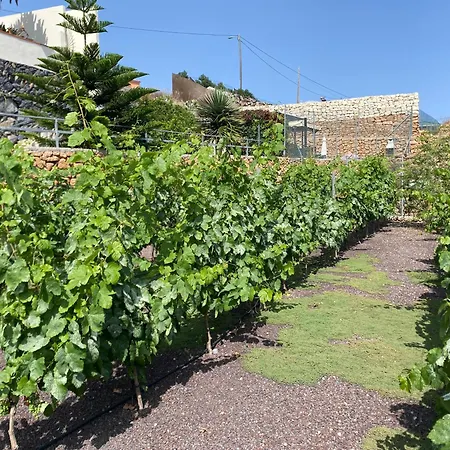 Casas Palma * 圣米格尔德阿沃纳