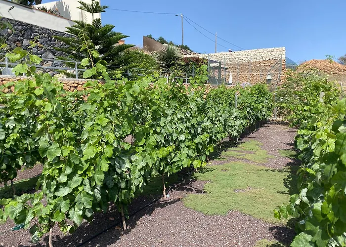 Casas Palma * San Miguel de Abona